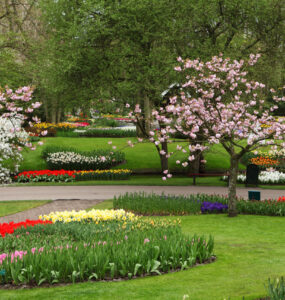 10 Tips to Prepare Your Landscape for Spring