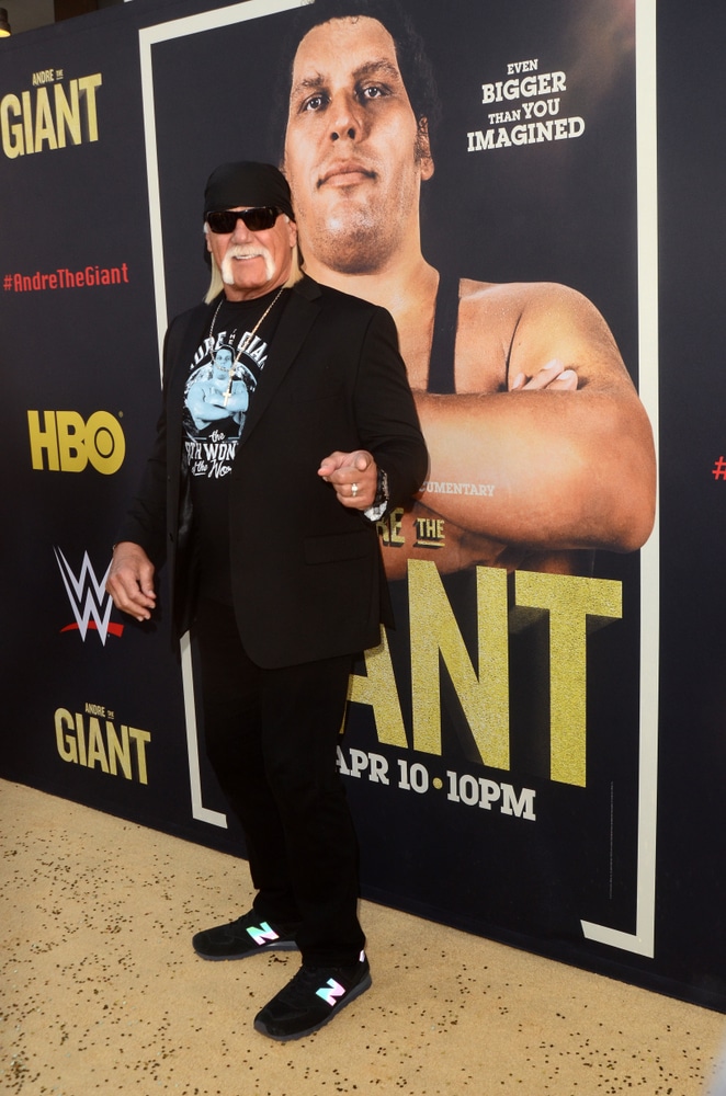 The Friendship - Wrestlemania III