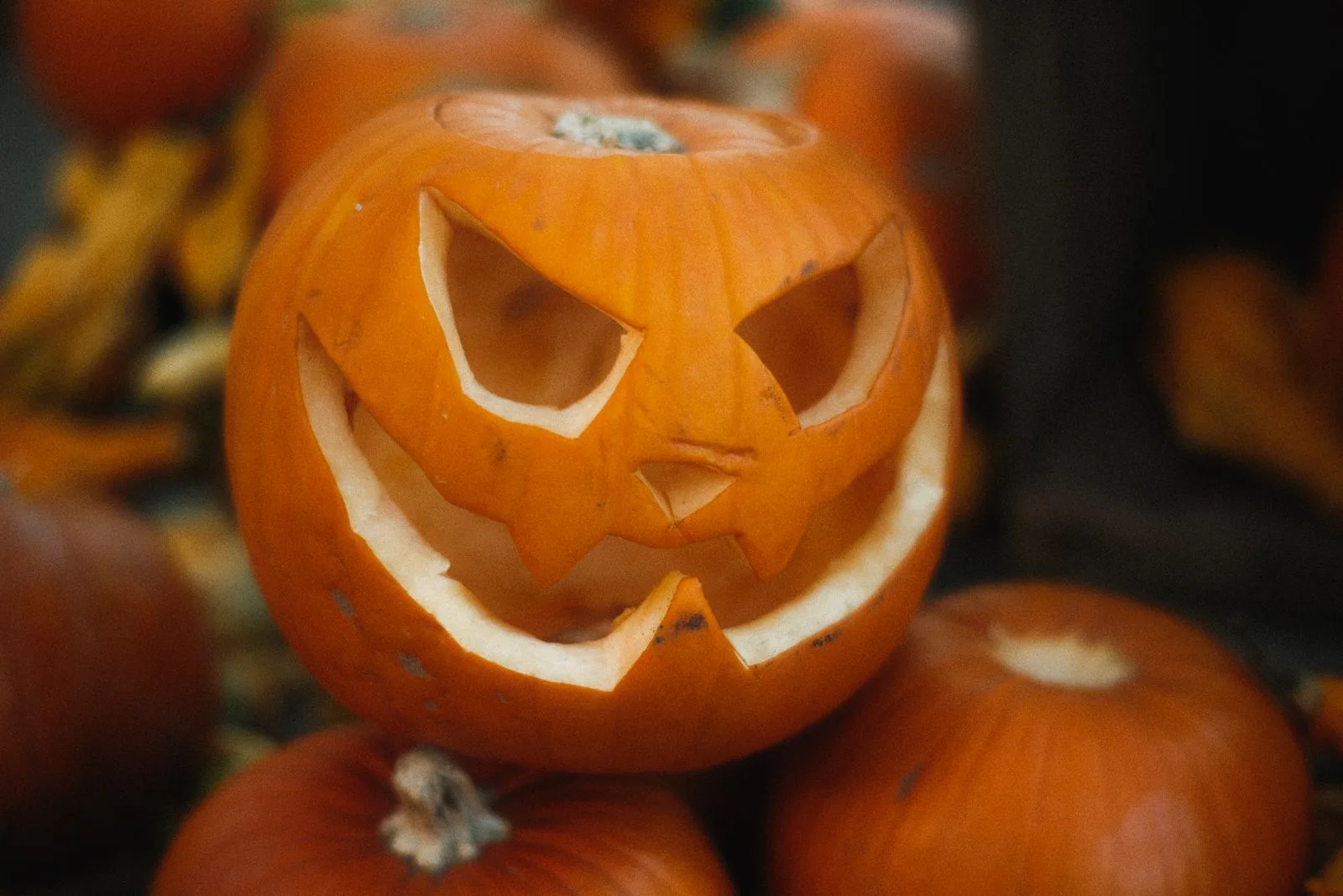 Carved jack-o-lantern surrounded by uncarved pumpkins