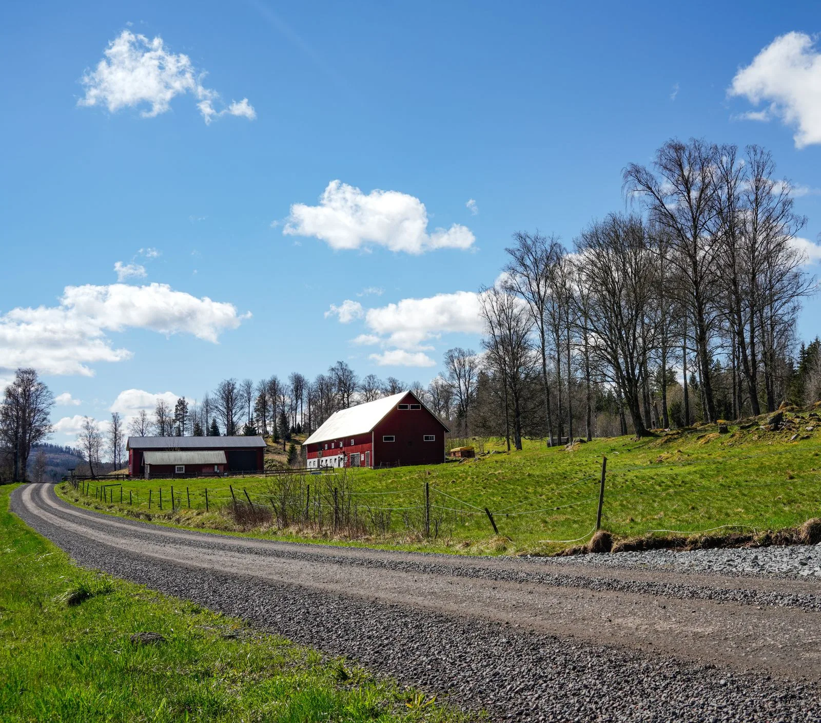Red barns beside a gravel road in green countryside